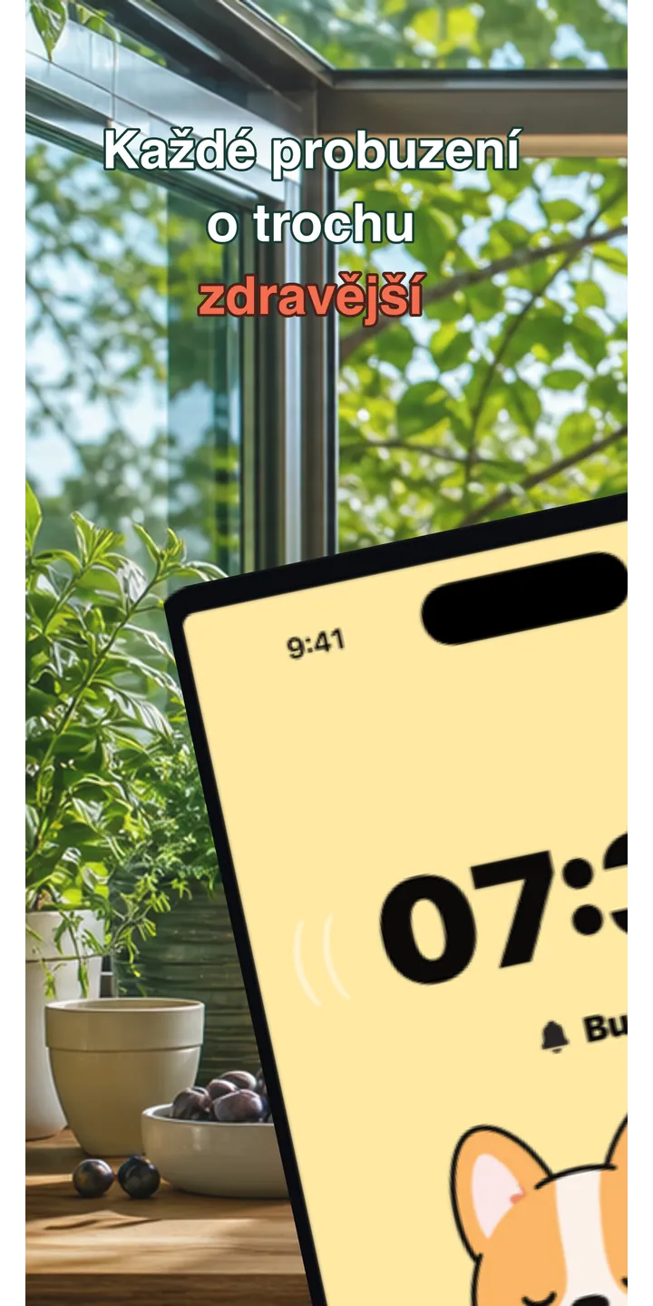 HealthUp home screen screenshot showing the next alarm and morning overview