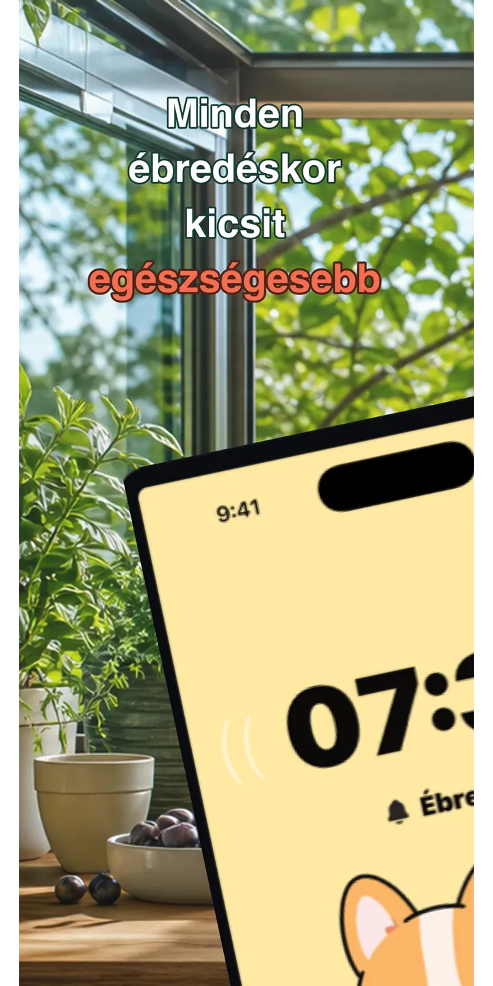 HealthUp home screen screenshot showing the next alarm and morning overview