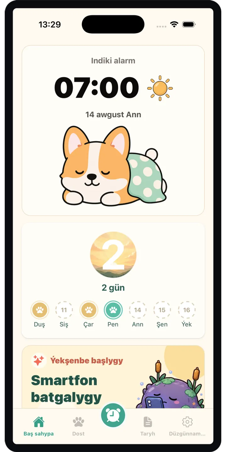 HealthUp home screen screenshot showing the next alarm and morning overview