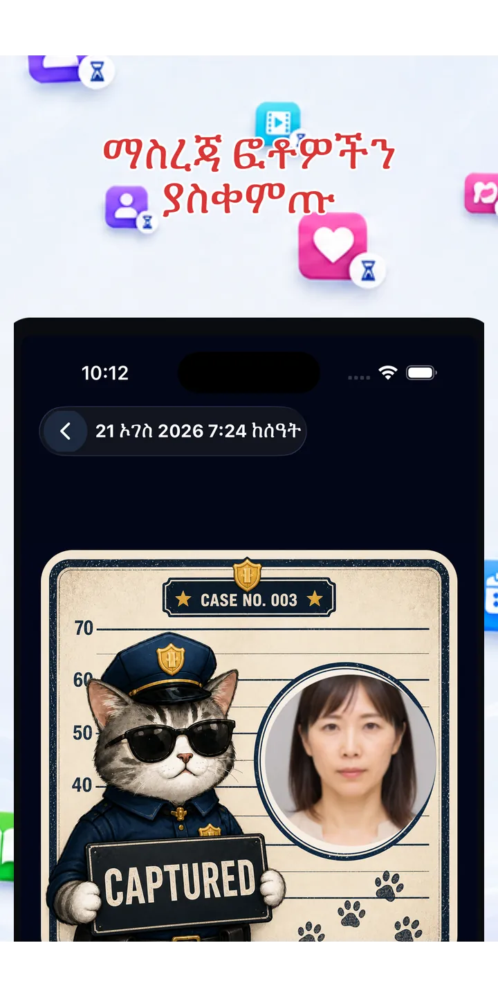 Officer Meow history screen showing focus activity over time