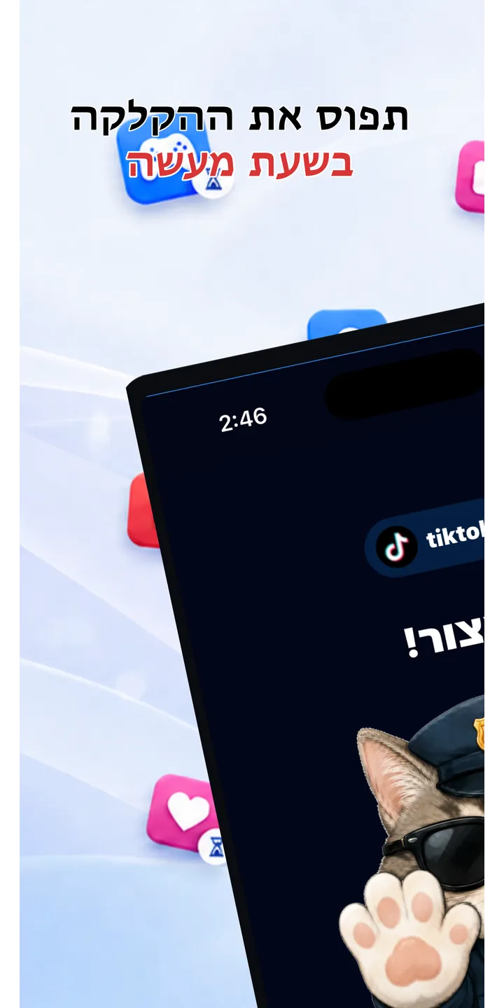 Officer Meow home screen showing today’s focus patrol