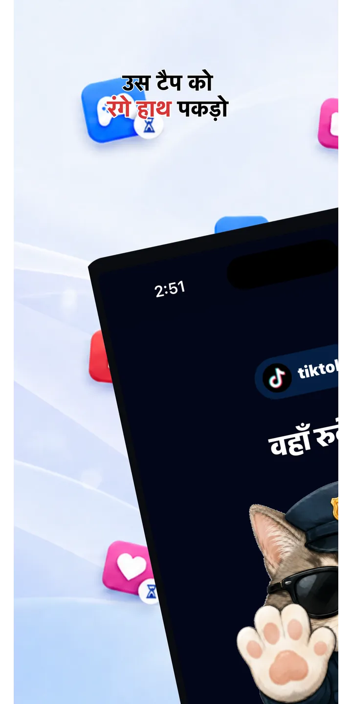 Officer Meow home screen showing today’s focus patrol