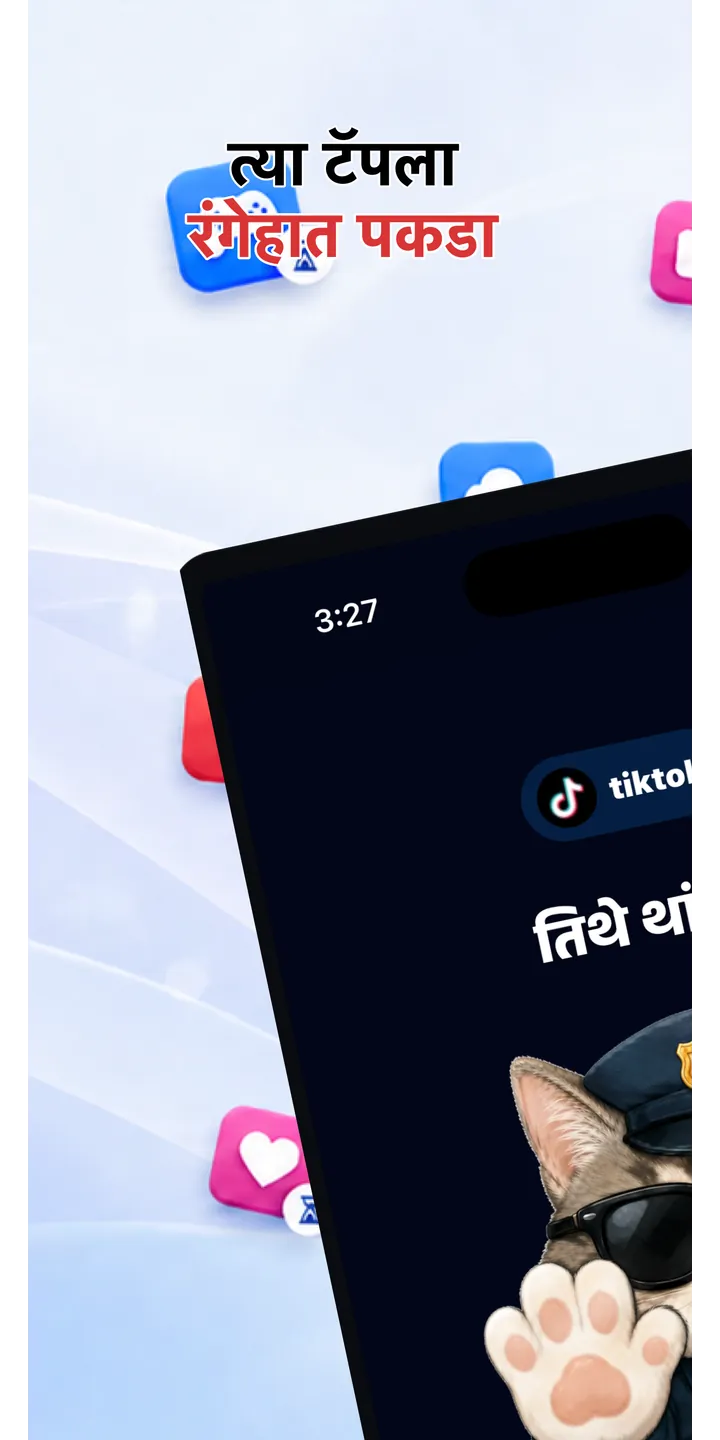 Officer Meow home screen showing today’s focus patrol
