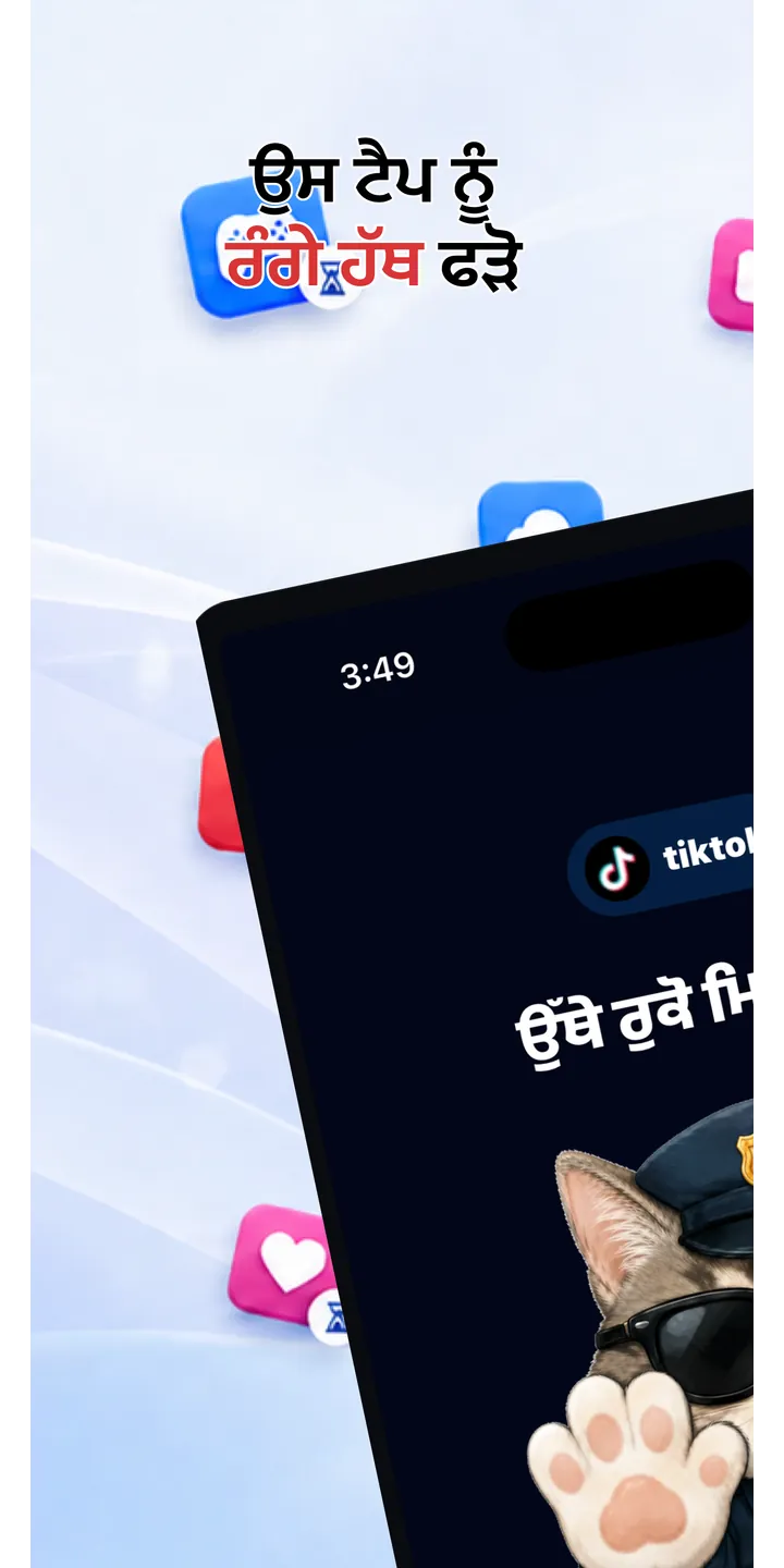 Officer Meow home screen showing today’s focus patrol