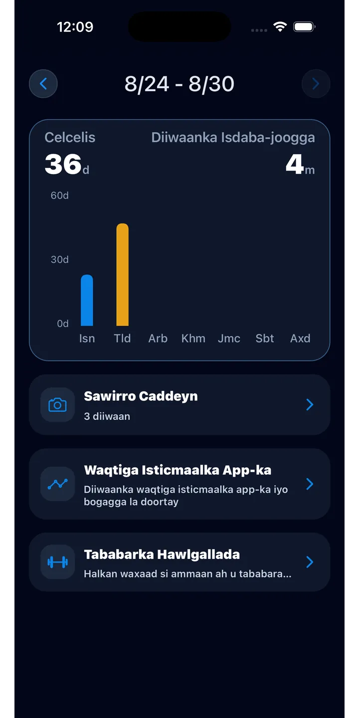 Officer Meow statistics screen showing focus trends