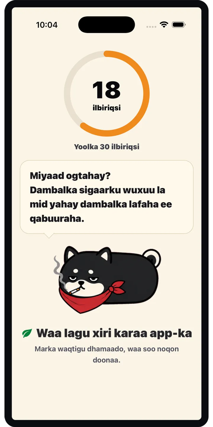 Shiballet report screen screenshot showing weekly held-seconds and share card